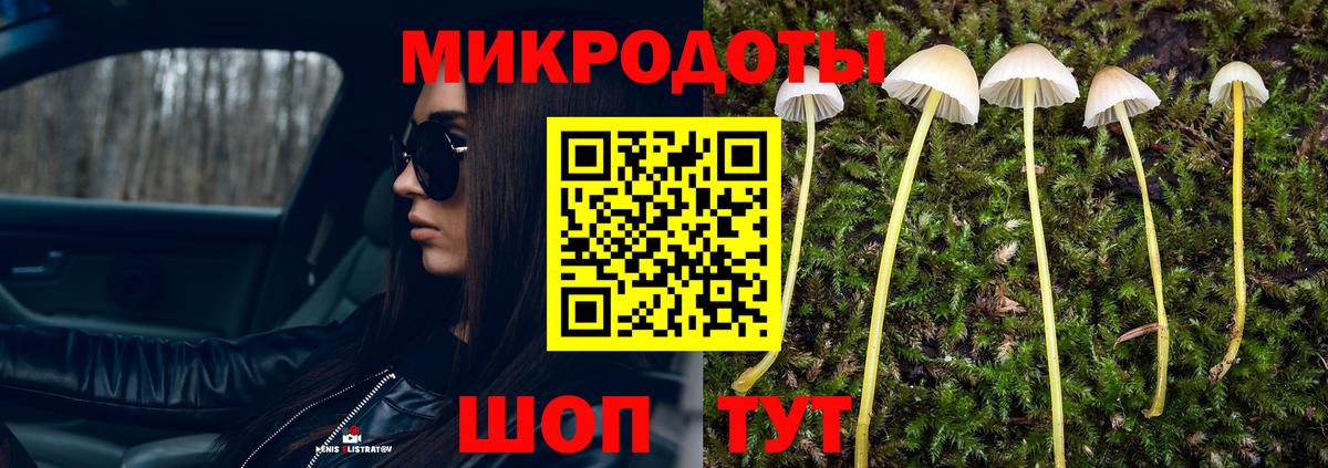 Галлюциногенные грибы Cubensis Белово