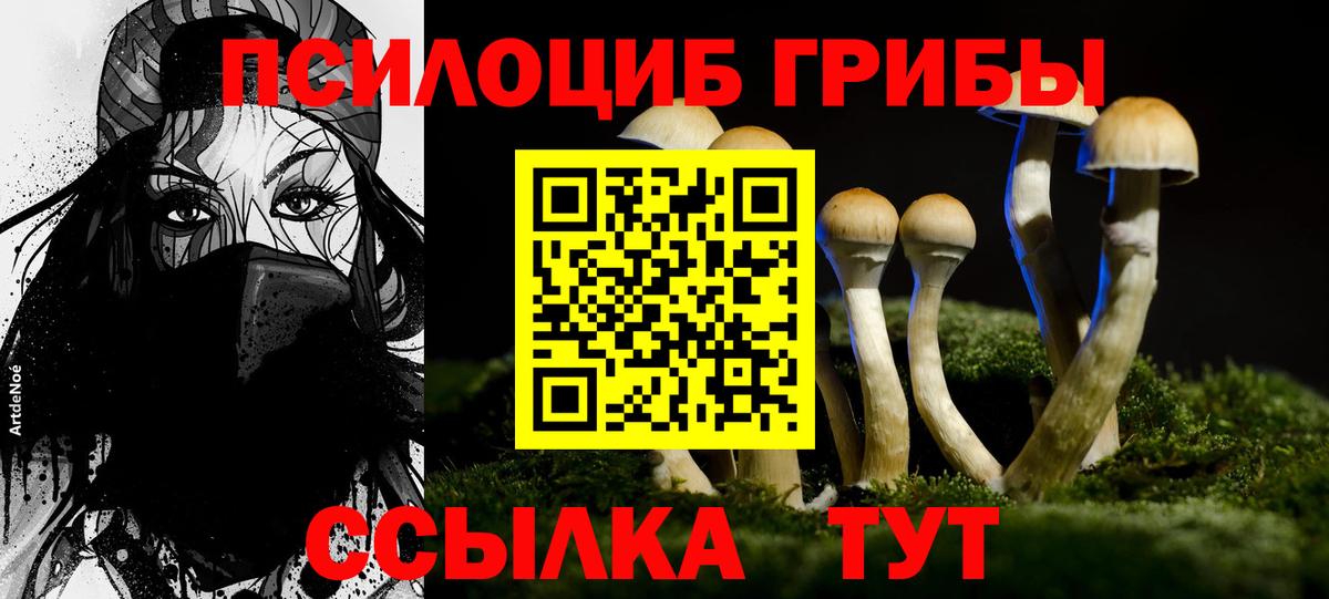 Псилоцибиновые грибы ЛСД  Вход с VPN  хочу   Белово 